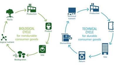Cradle to Cradle Biological and Technical Cycle.jpg